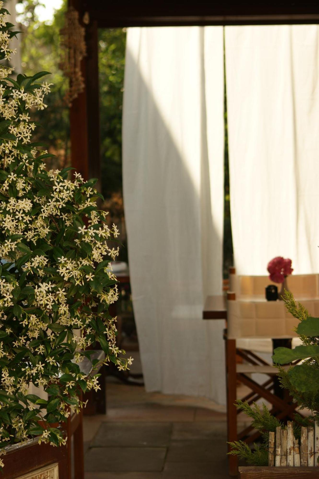 Cunda Lena Otel Ayvalik Ngoại thất bức ảnh